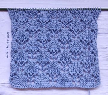 Lace Stitch Knitting Pattern