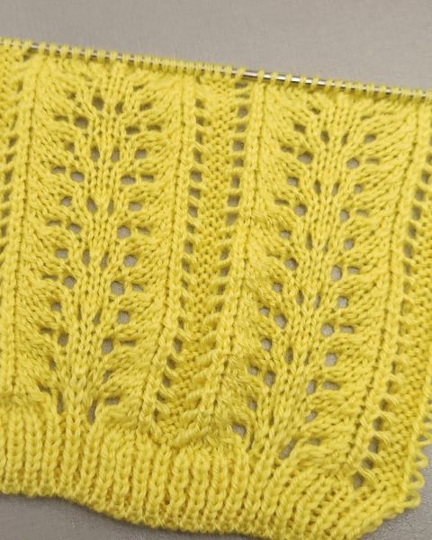 Fan Lace Stitch Knitting Pattern