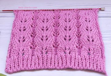 Lace Stitch Knitting Pattern
