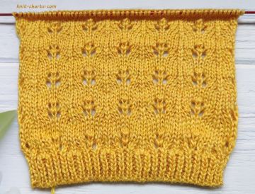 Lace Stitch Knitting Pattern