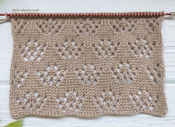 Lace Stitch Knitting Pattern