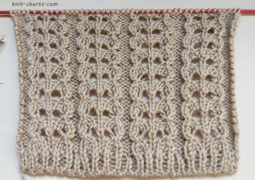 Lace Stitch Knitting Pattern