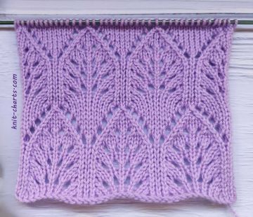 Lace Stitch Knitting Pattern
