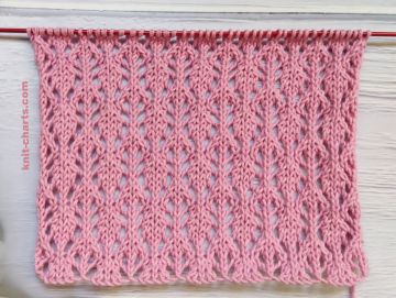 Lace Stitch Knitting Pattern