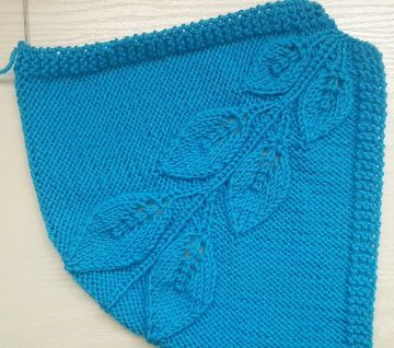 Raglan with Leaves Knit Stitch Pattern top down