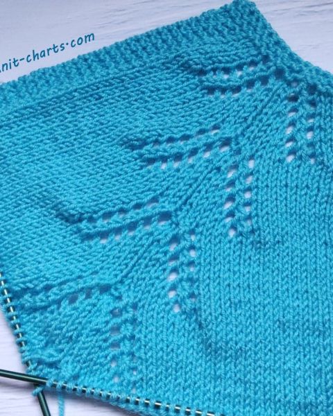 Lace Knit Raglan Stitch