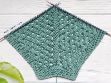 Eyelet Knit Stitch with Top Down Raglan